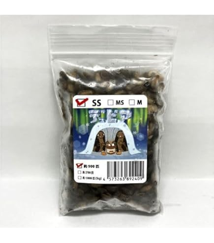 冷凍デュビア 冷凍デュビア MS 約430匹入り | 冷凍昆虫 | SAfarm 国産冷凍